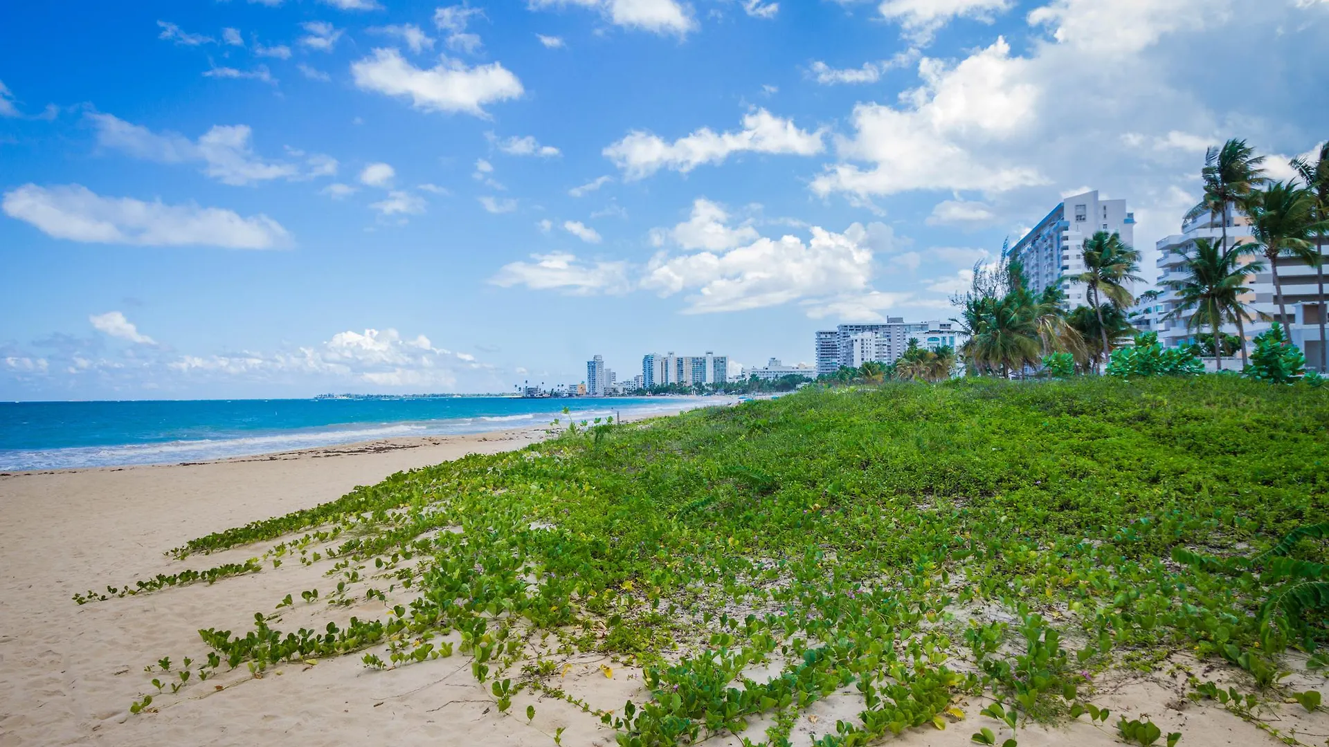 Tryp By Wyndham Isla Verde Σαν Χουάν