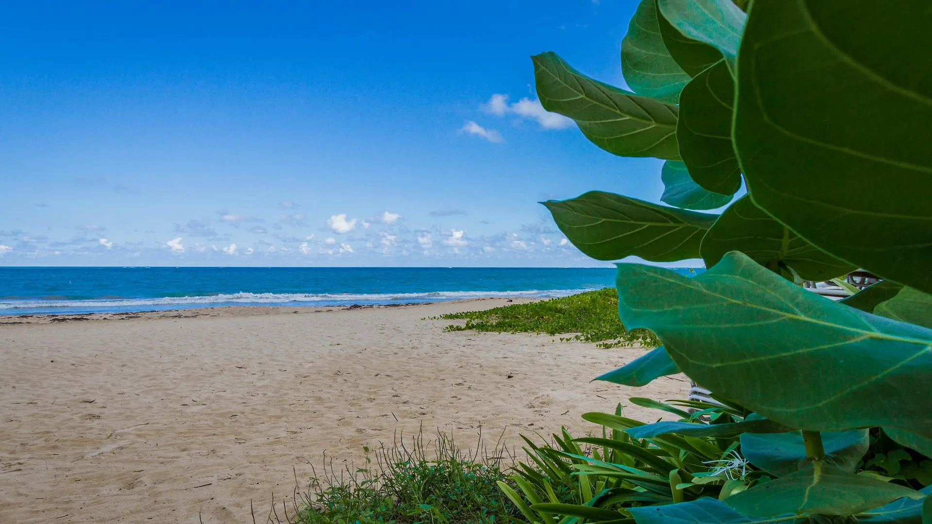 Tryp By Wyndham Isla Verde Σαν Χουάν Ξενοδοχείο